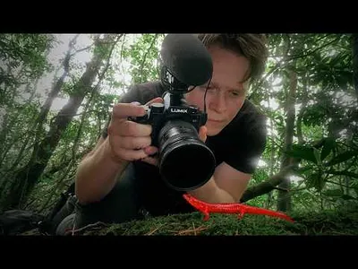 Filming TINY Wildlife | Aidin Robbins