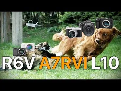 Canon R6V, Sony A7R VI, Panasonic L10 (3 PROBLEMS 2 SOLUTIONS)